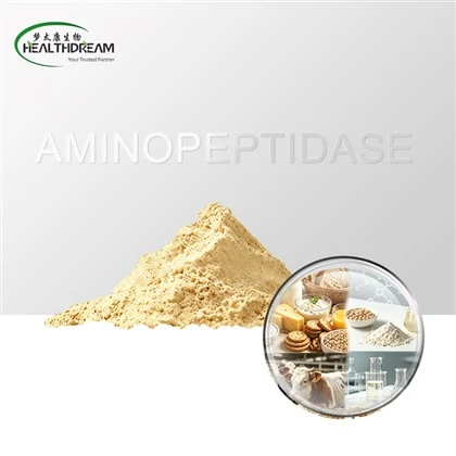 Aminopeptidáz